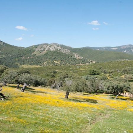 La Brizna Pension Cañamero Buitenkant foto