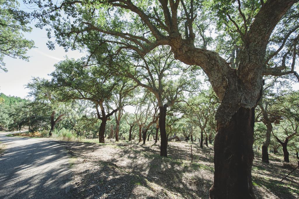 La Brizna Pension Cañamero Buitenkant foto