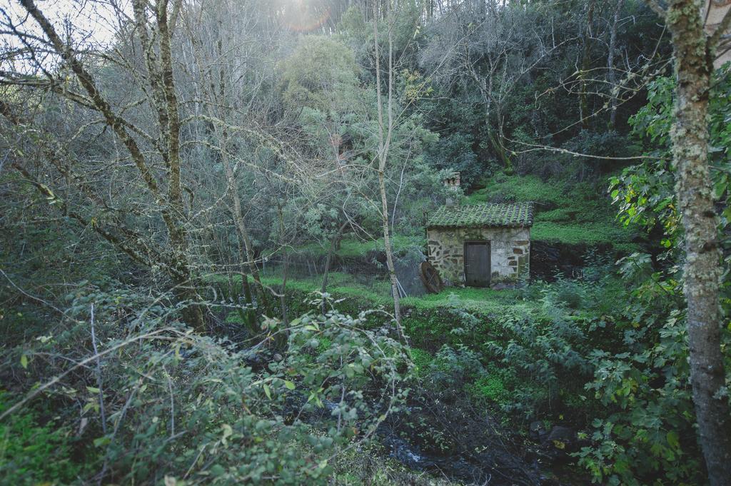 La Brizna Pension Cañamero Buitenkant foto