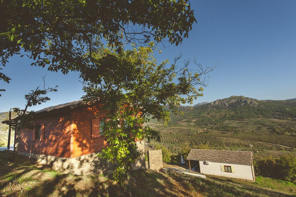 La Brizna Pension Cañamero Kamer foto