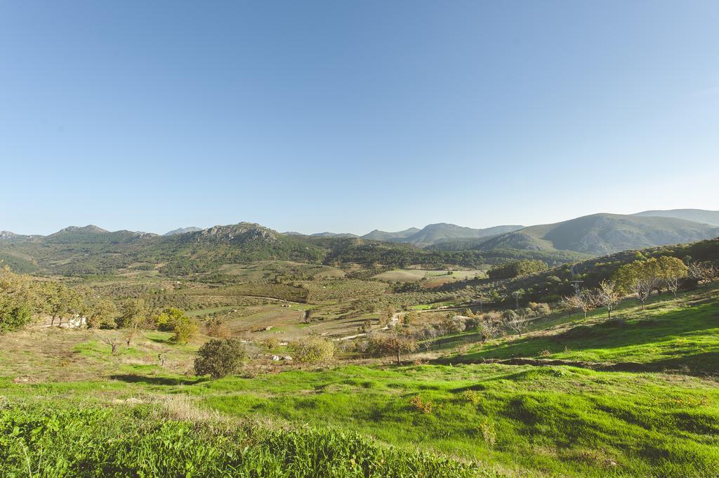 La Brizna Pension Cañamero Buitenkant foto