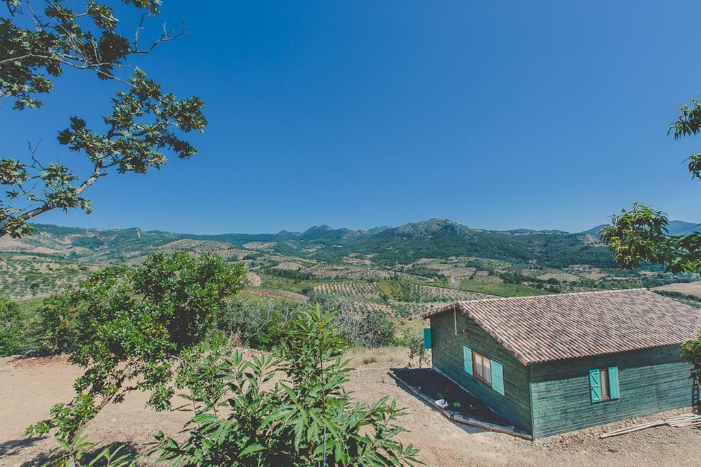 La Brizna Pension Cañamero Kamer foto