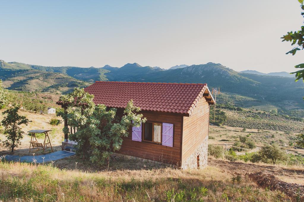 La Brizna Pension Cañamero Kamer foto