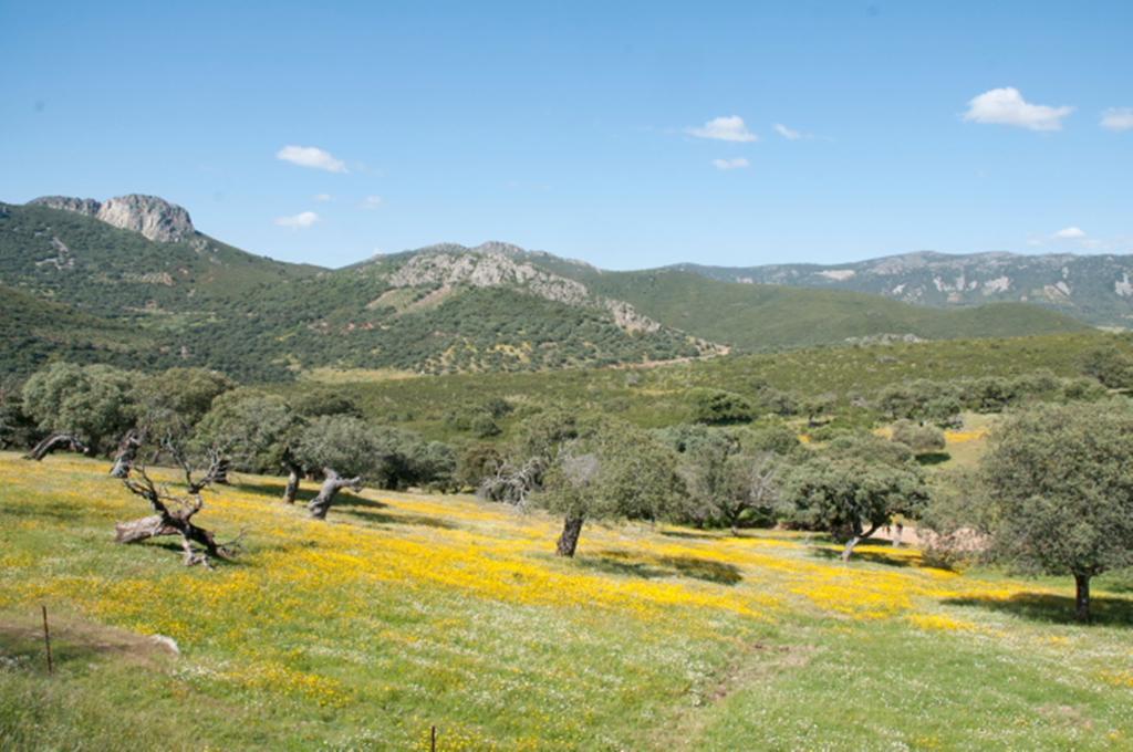 La Brizna Pension Cañamero Buitenkant foto